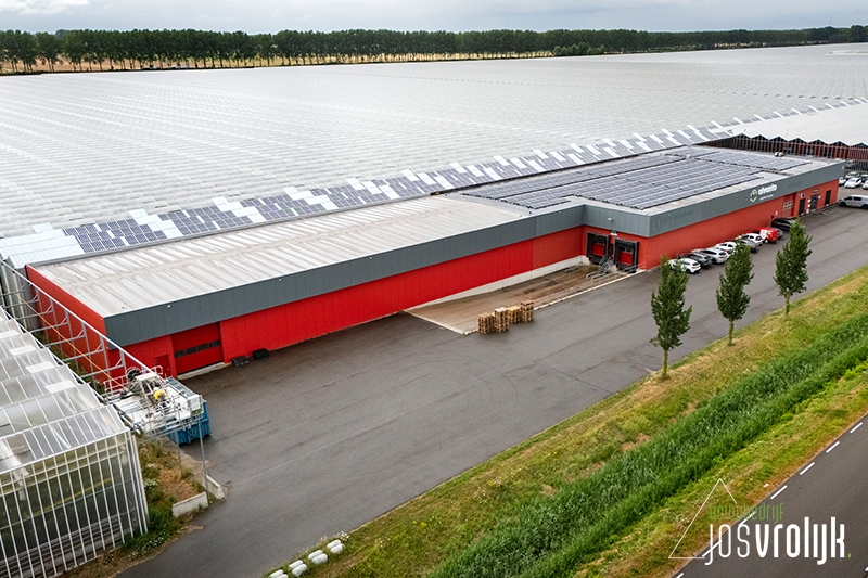 23 246 adrichem westdorpe 1