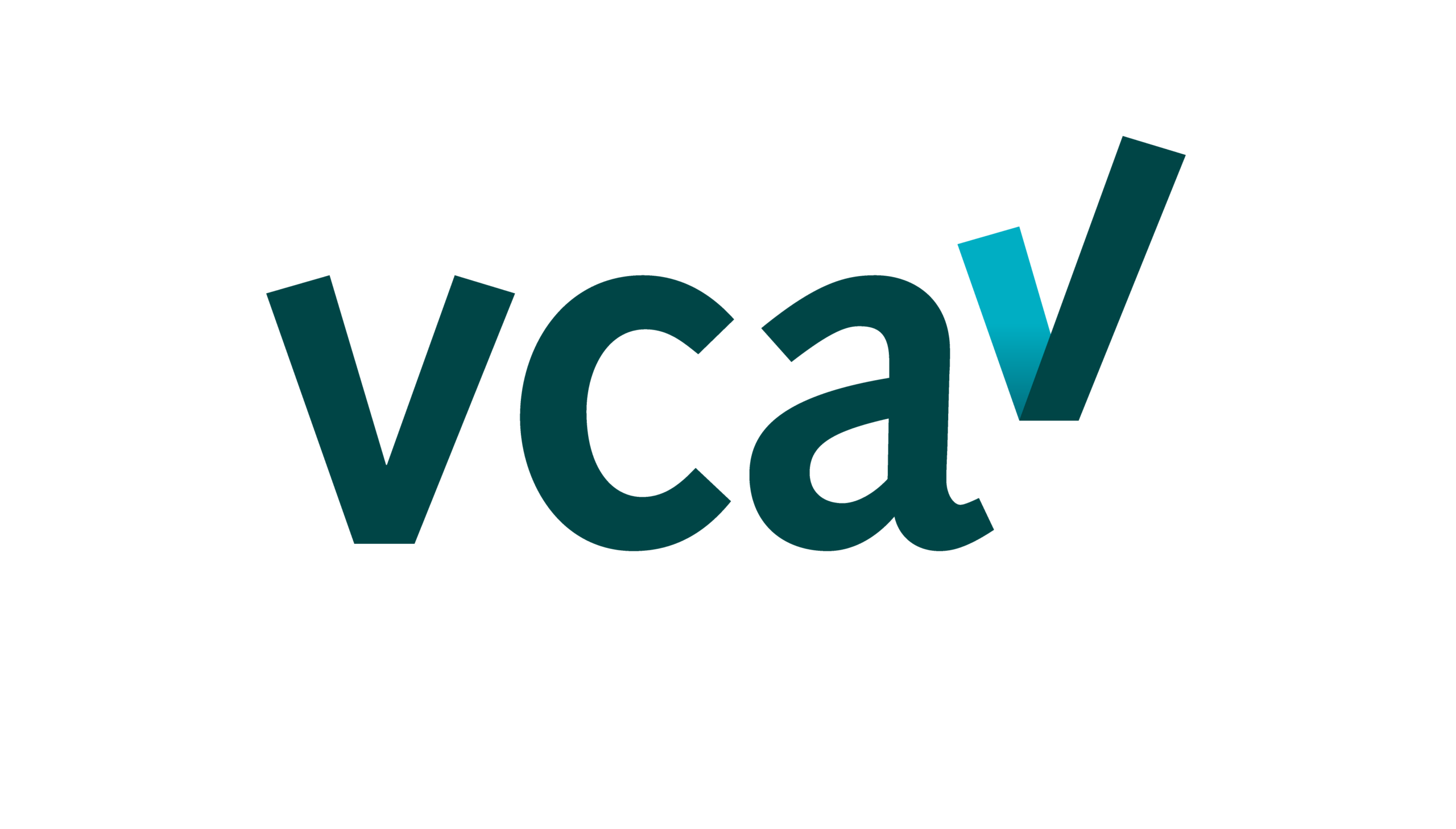VCA_logo_4000x2276px_RGB_2.0